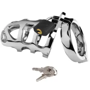 Anello gabbia — Metal Hard