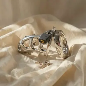 Anello gabbia — Metal Hard