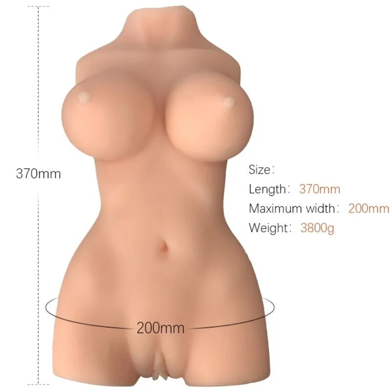 Torso Armony — Modello 7