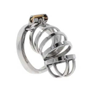 Extreme Chastity Cage Metallo — Hidden Desire