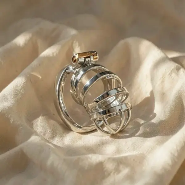 Extreme Chastity Cage Metallo — Hidden Desire