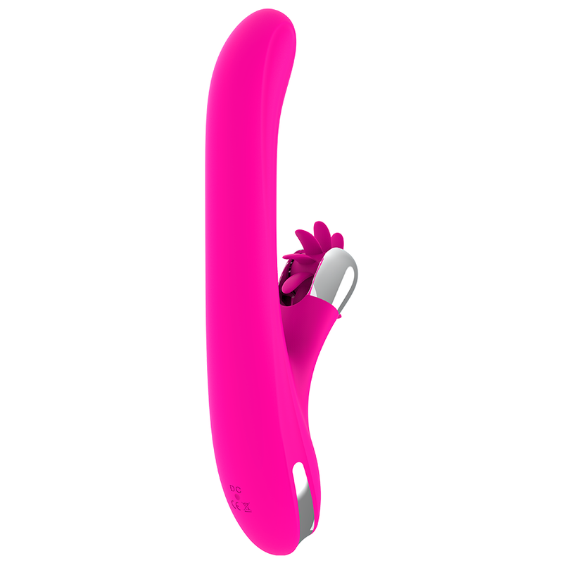 Bunny Rotation — Diversia