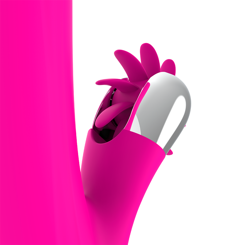 Bunny Rotation — Diversia