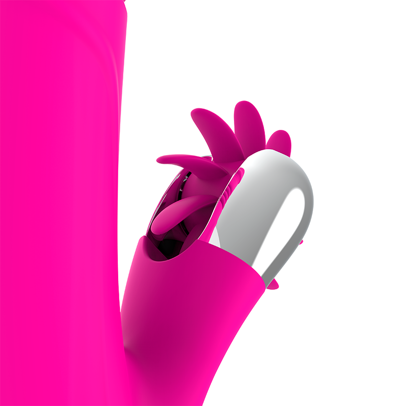 Bunny Up & Down — Diversia