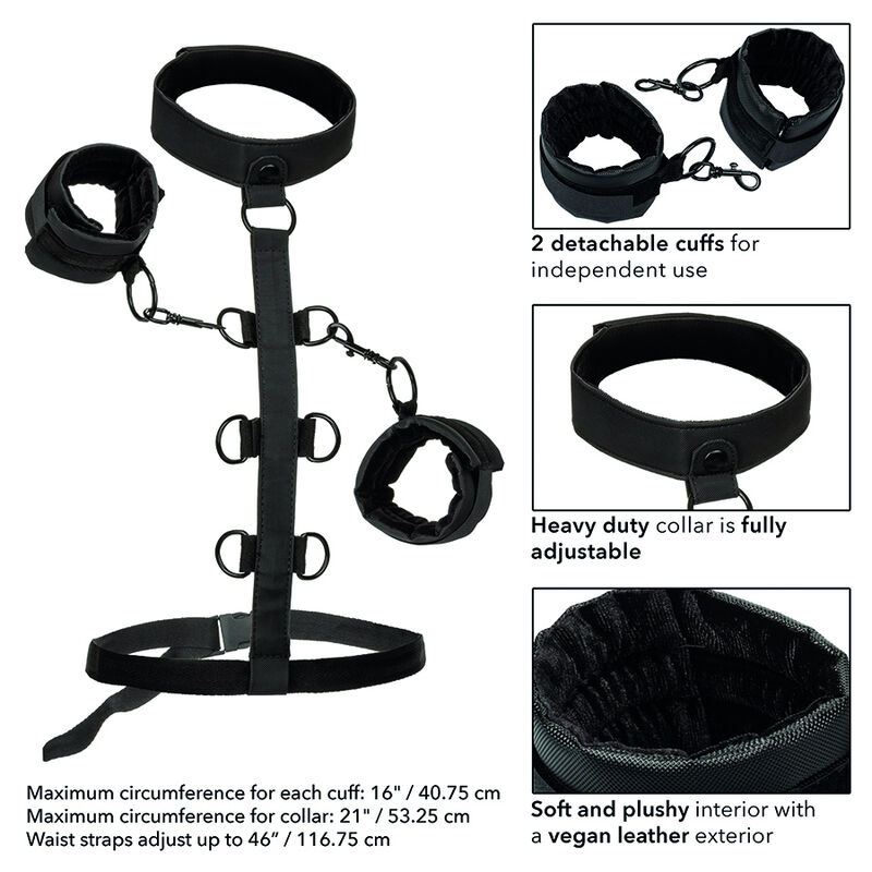 Boundless Collar — CalExotics