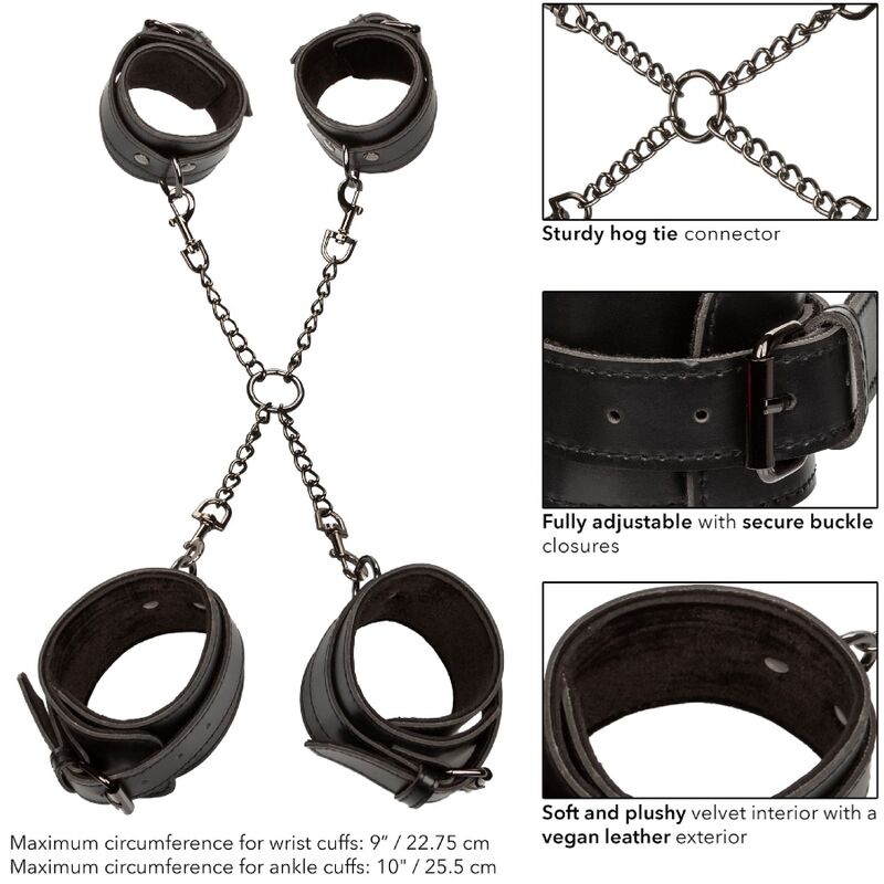 Euphoria Hog Tie — CalExotics