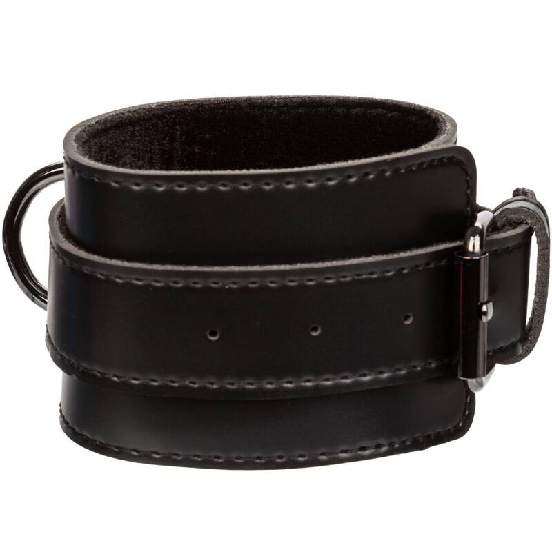 Euphoria Hog Tie — CalExotics