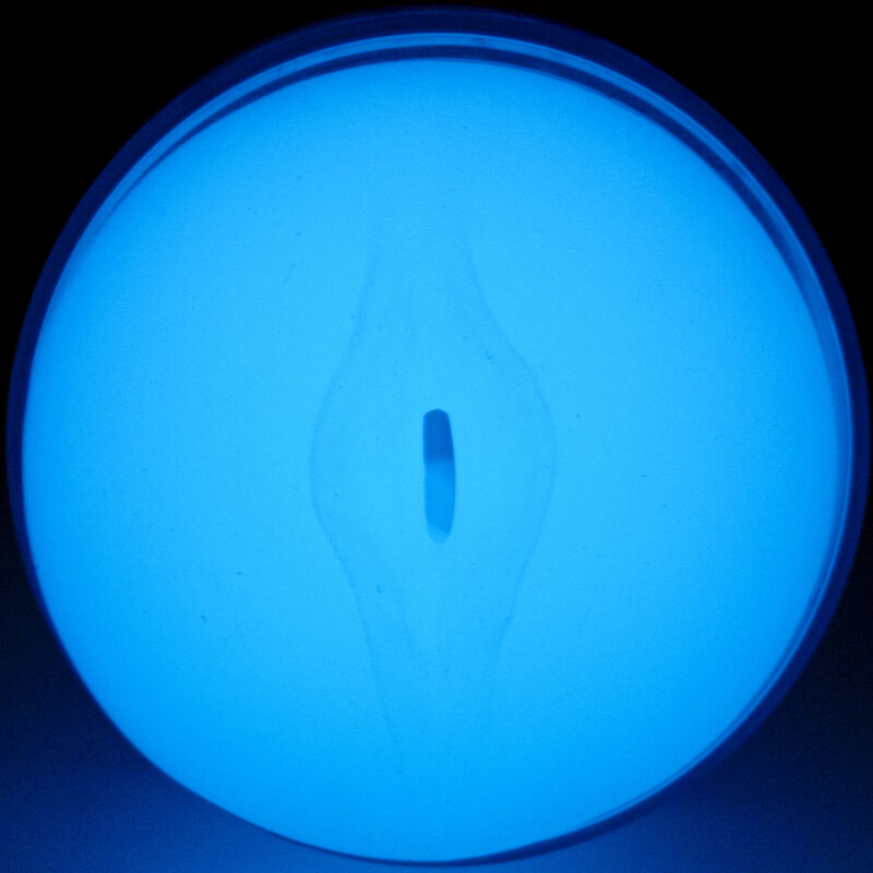 FeelGlow Stroker — Kiiroo