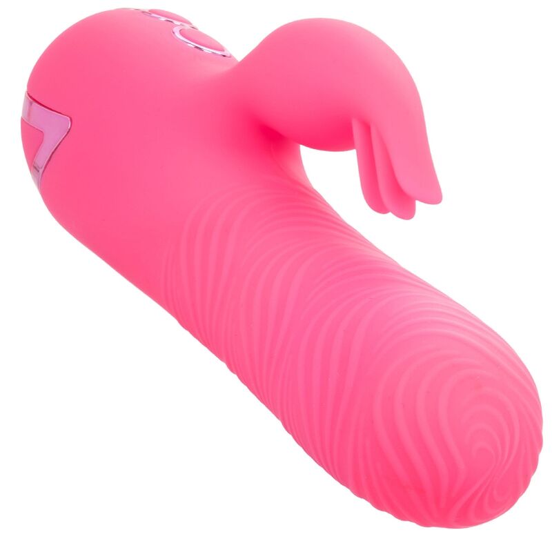 Sacramento Sweetie — CalExotics California Dreaming