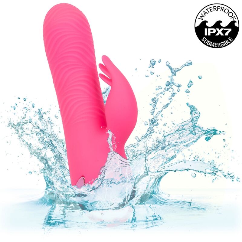 Sacramento Sweetie — CalExotics California Dreaming