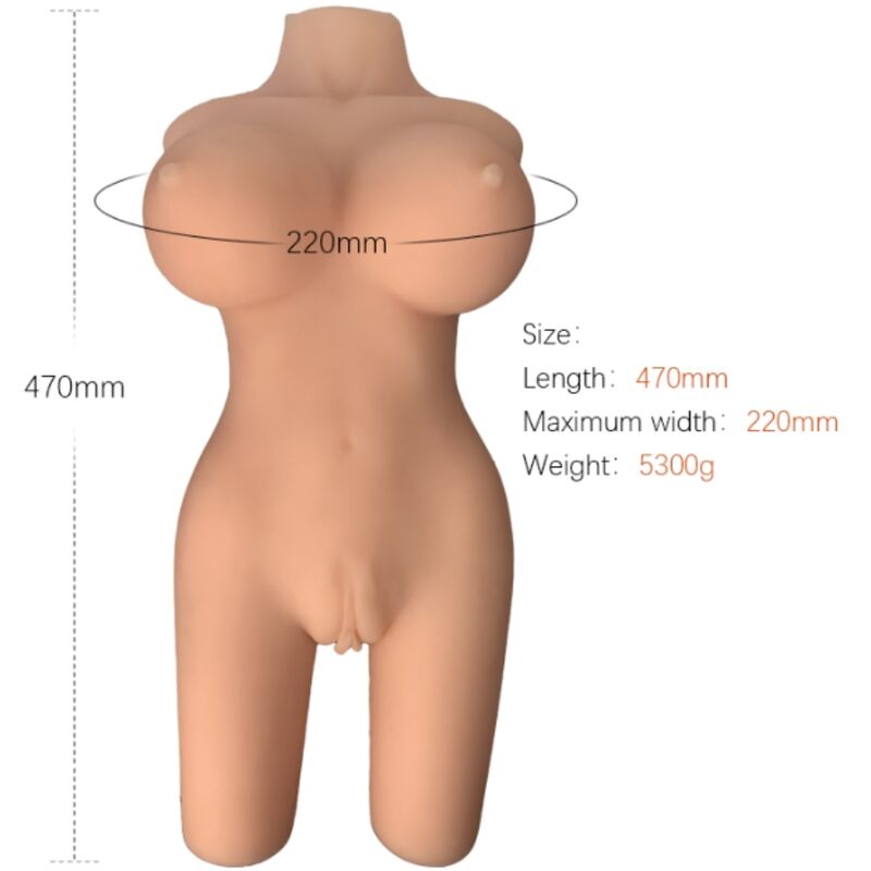 Torso Armony — Modello 6