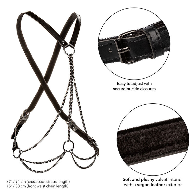 Euphoria Multichain Harness — CalExotics