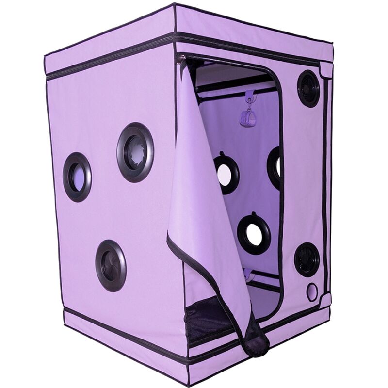 Kink Club Scandale Viola — Secret Dome