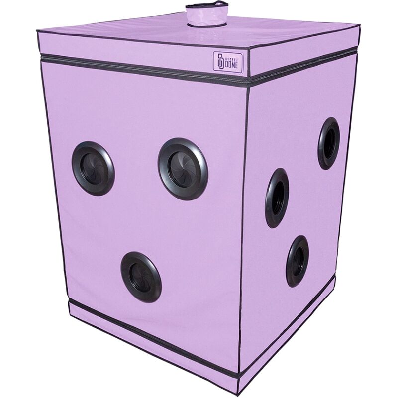 Kink Club Scandale Viola — Secret Dome