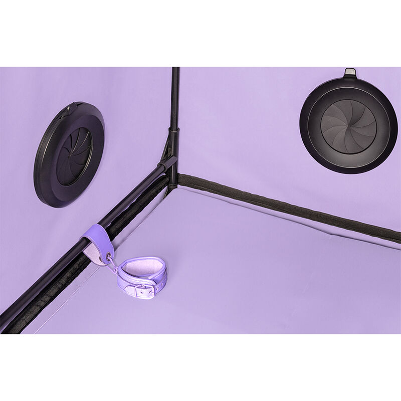 Kink Club Scandale Viola — Secret Dome