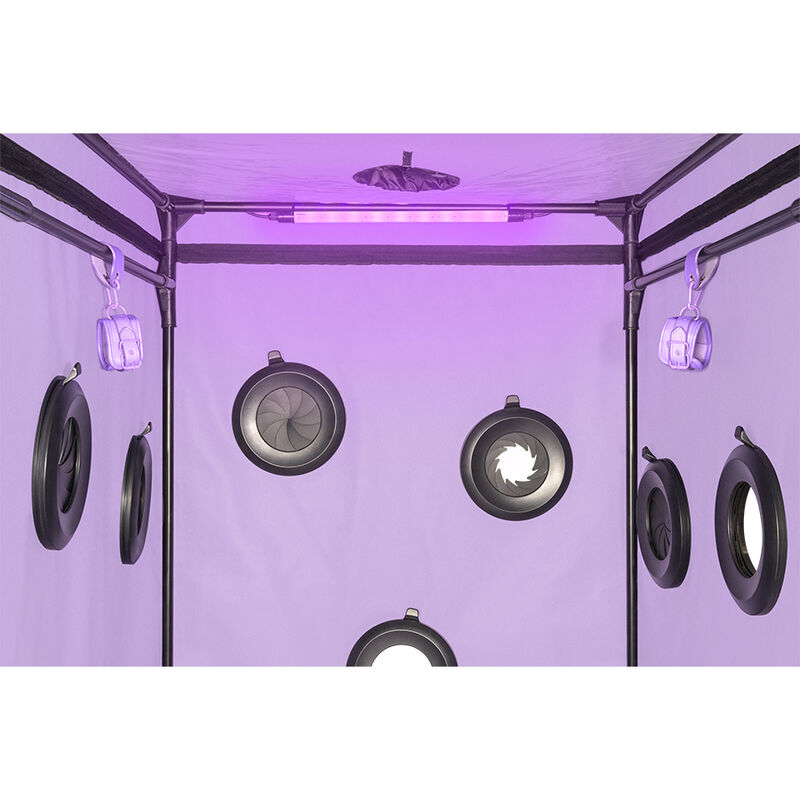 Kink Club Scandale Viola — Secret Dome