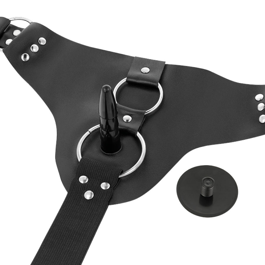 Harness Taylor — Attraction