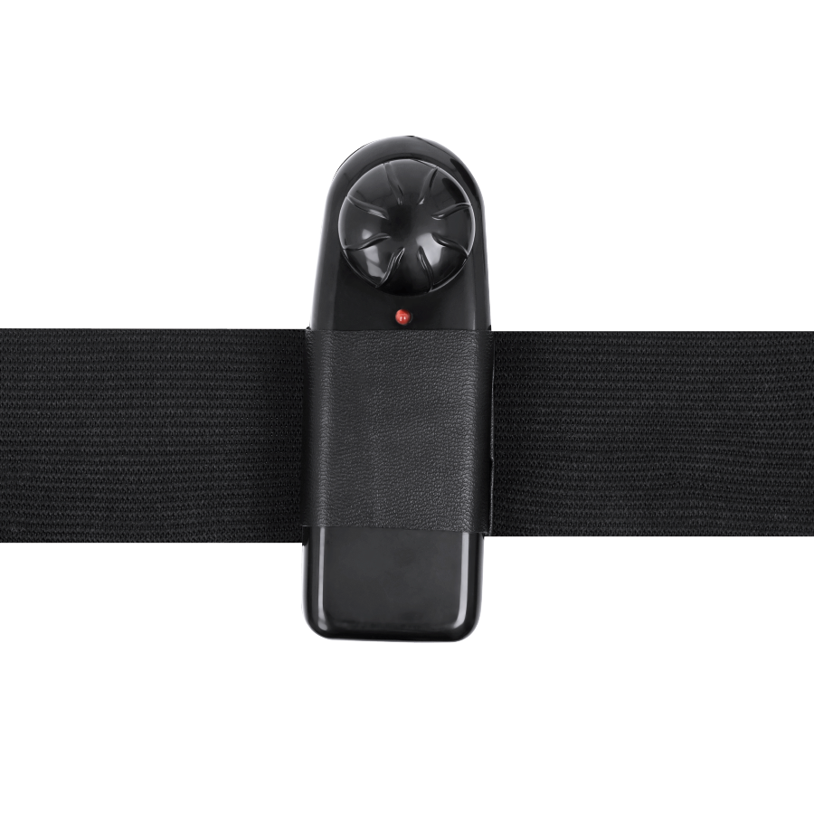 Harness Benny — Attraction