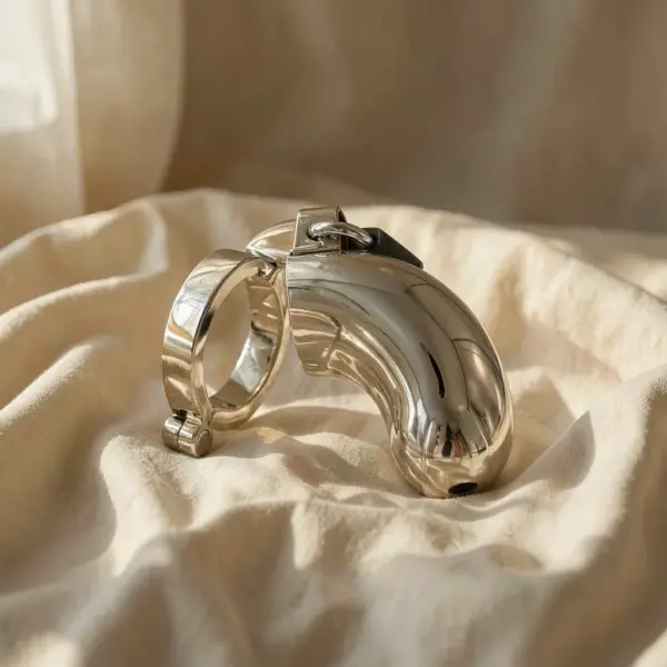 Anello di castità — Metal Hard