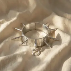 Collare con Punte — Metal Hard