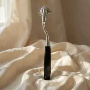 Girandola Wartenberg Elettrica — ElectraStim