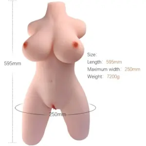 Torso Armony — Modello 2