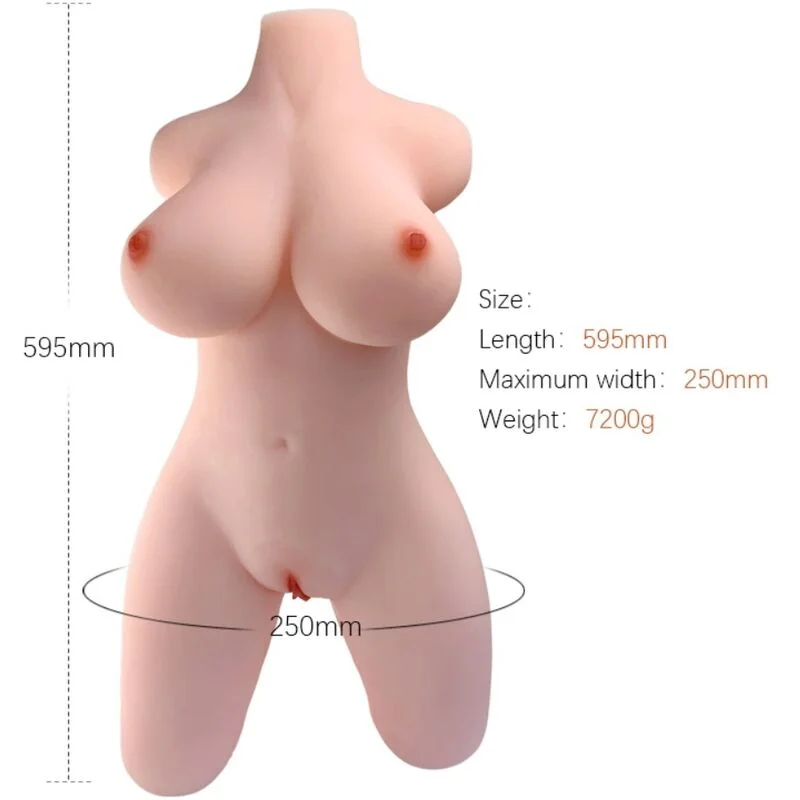 Torso Armony — Modello 2