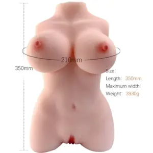 Torso Armony — Modello 3