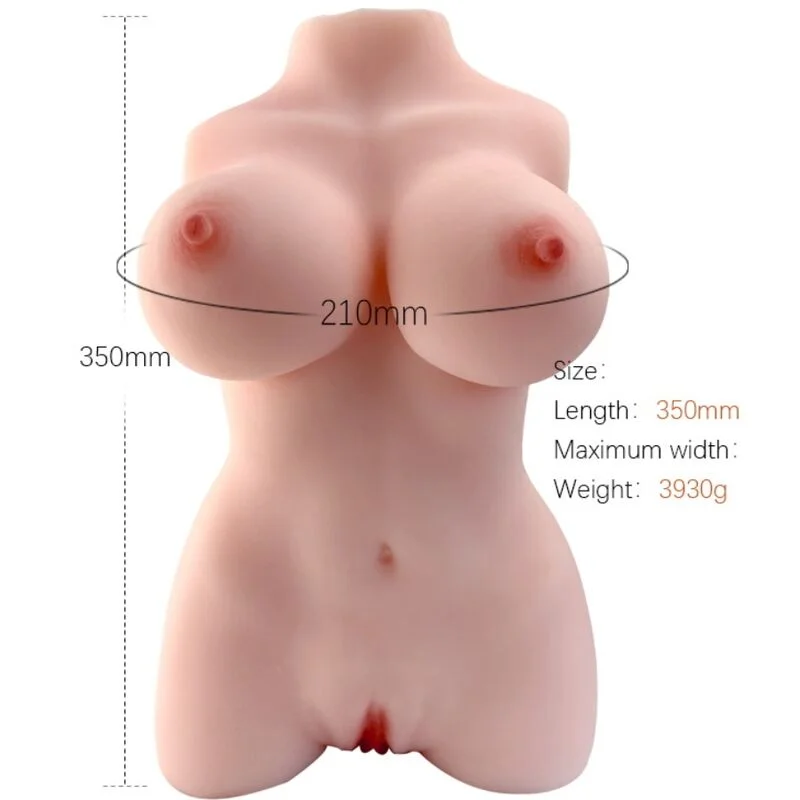 Torso Armony — Modello 3