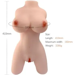 Torso Armony — Modello 4