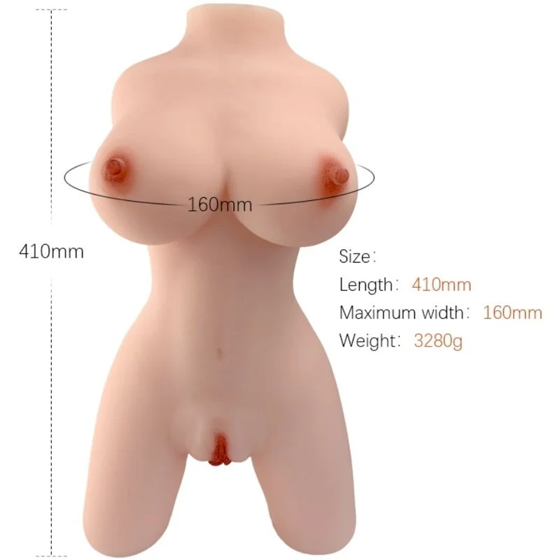 Torso Armony — Modello 4