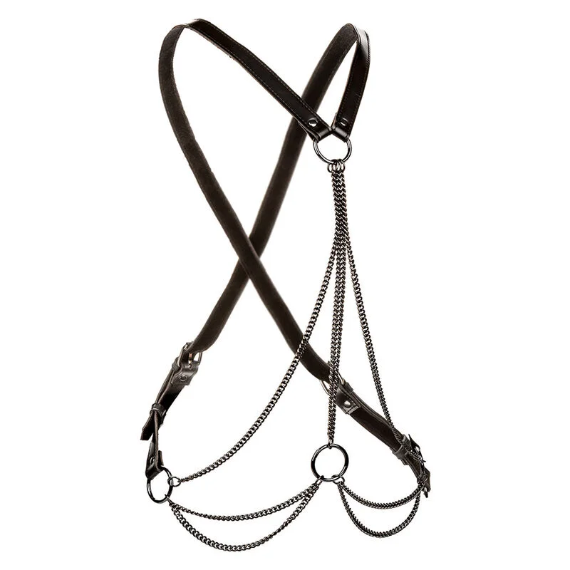 Euphoria Multichain Plus Size — CalExotics