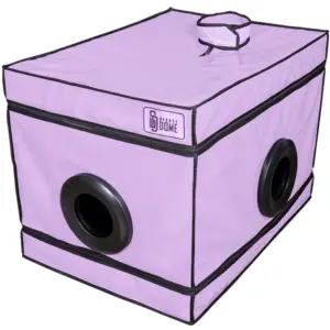Kink Club La Niche Viola — Secret Dome