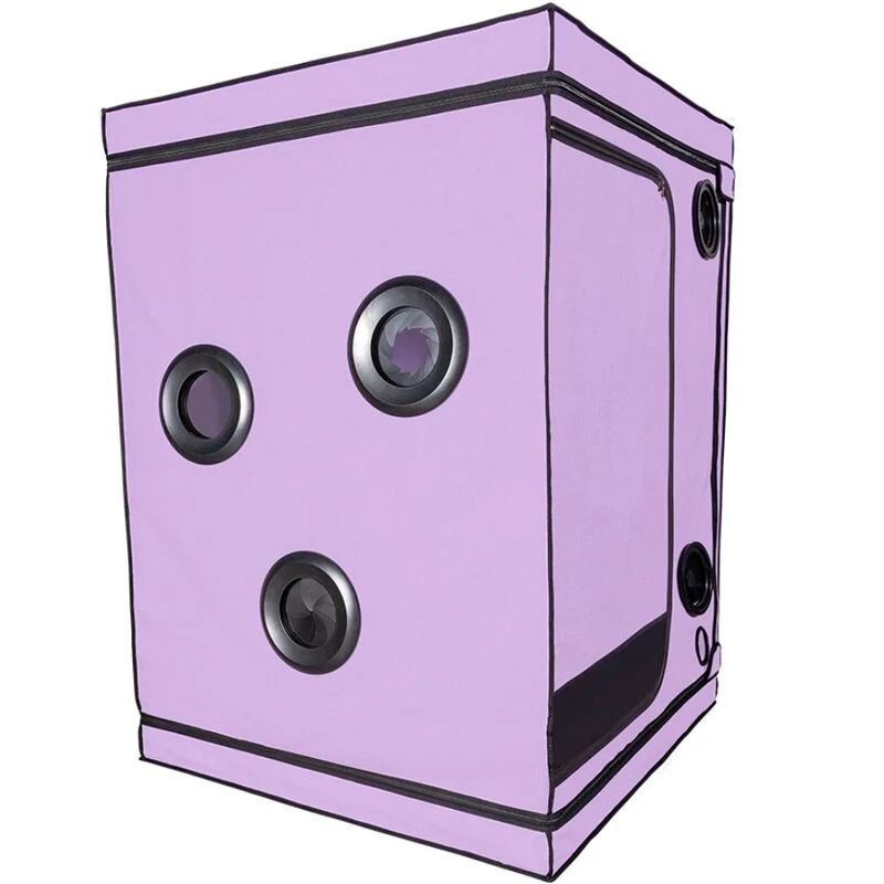 Kink Club Scandale Viola — Secret Dome