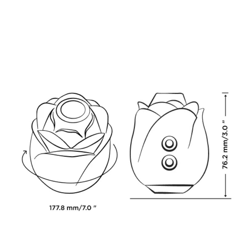 Rose 2.0 Edizione Limitata — Romp